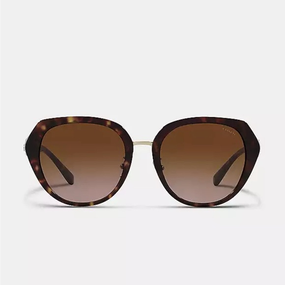 Coach Horse And Carriage Oversized Round Sunglasses!! - Picture 2 of 4